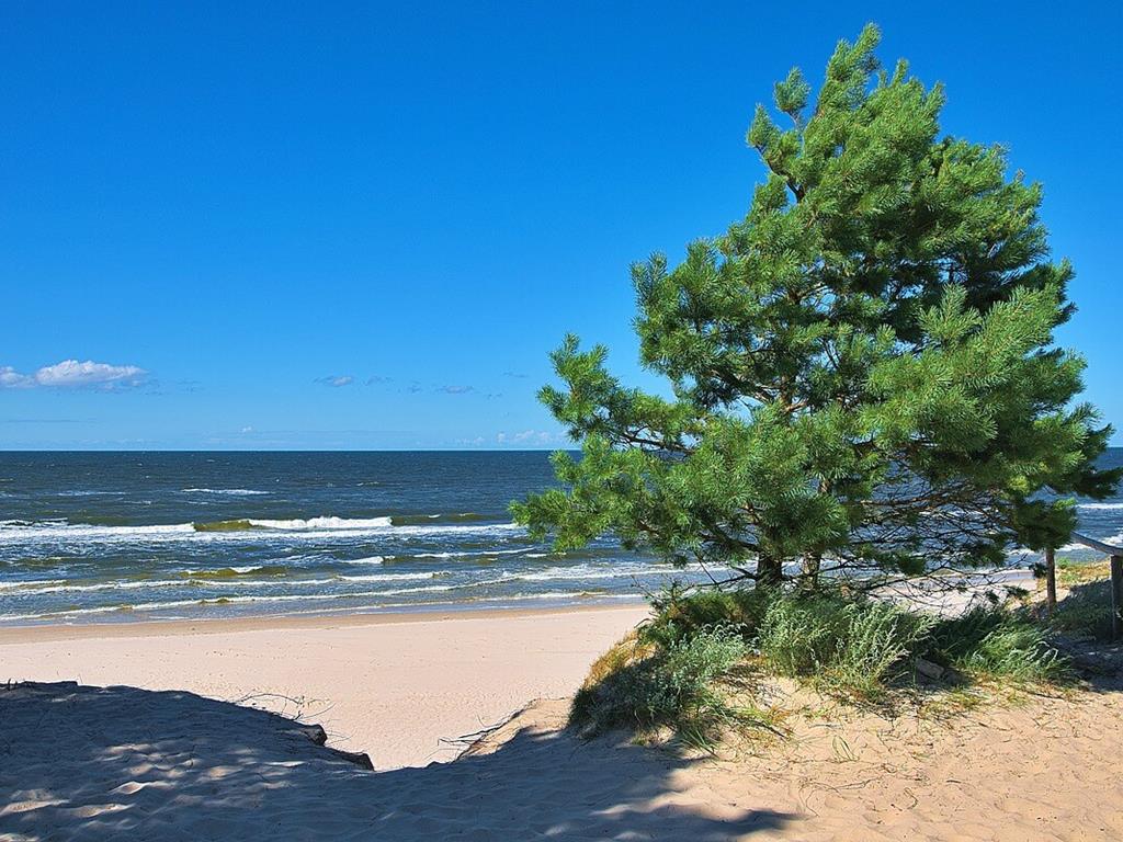 Wejście na plażę. Piękne polskie morze z falami.