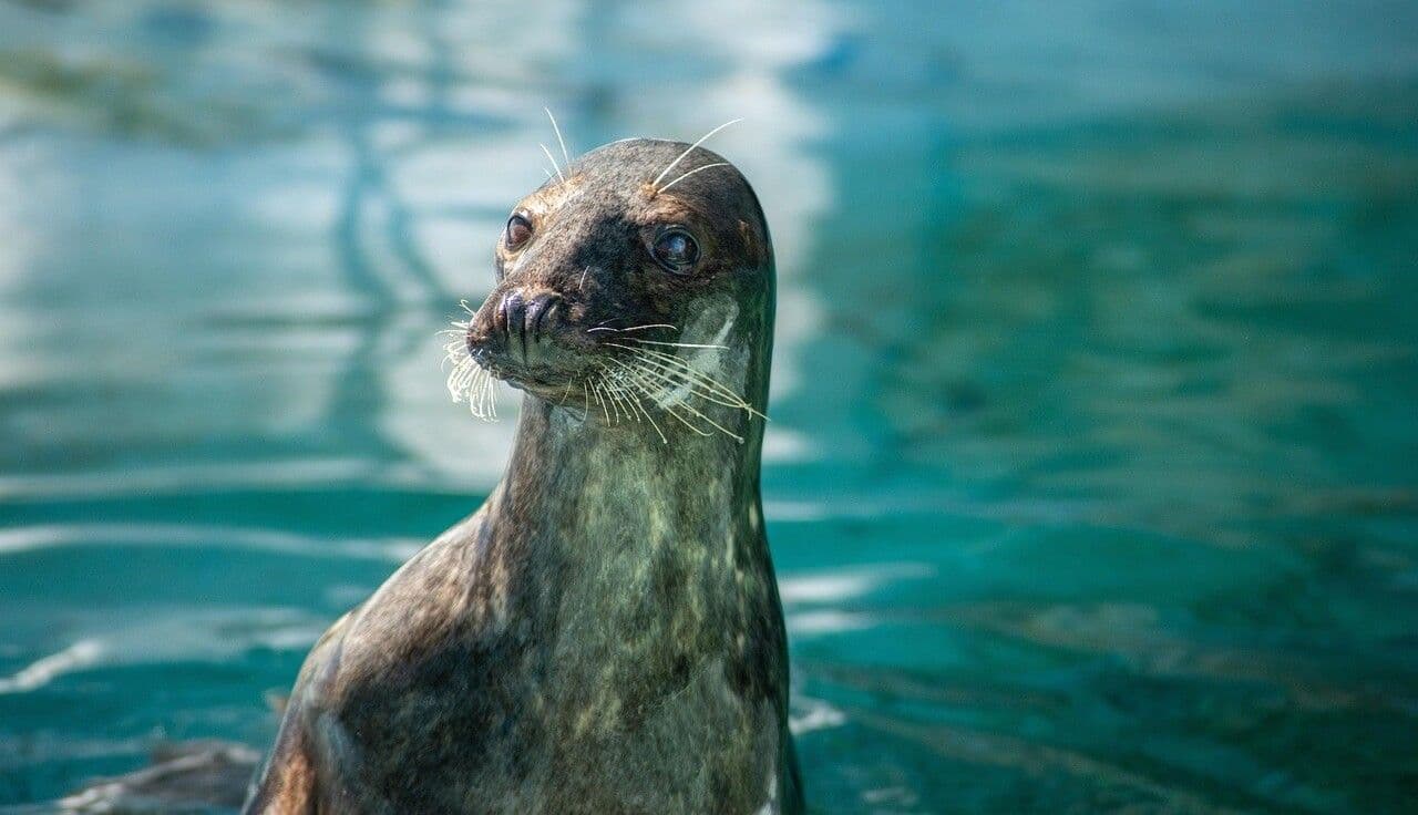 atrakcje-turystyczne-na-helu