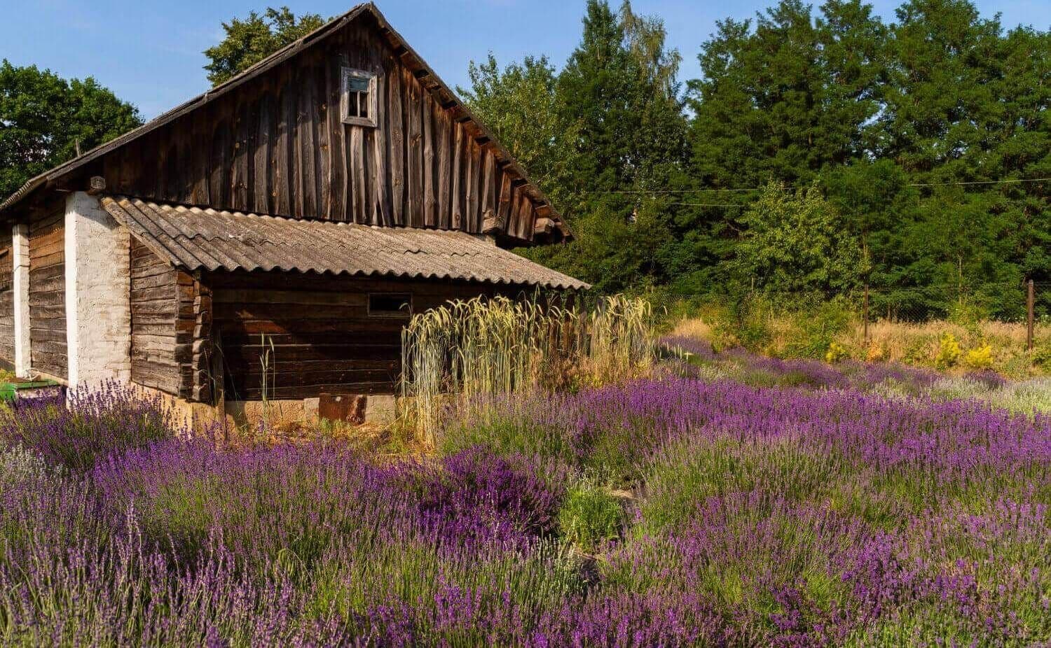 osada-slawutowo-we-wladyslawowie-historia-i-ciekawostki