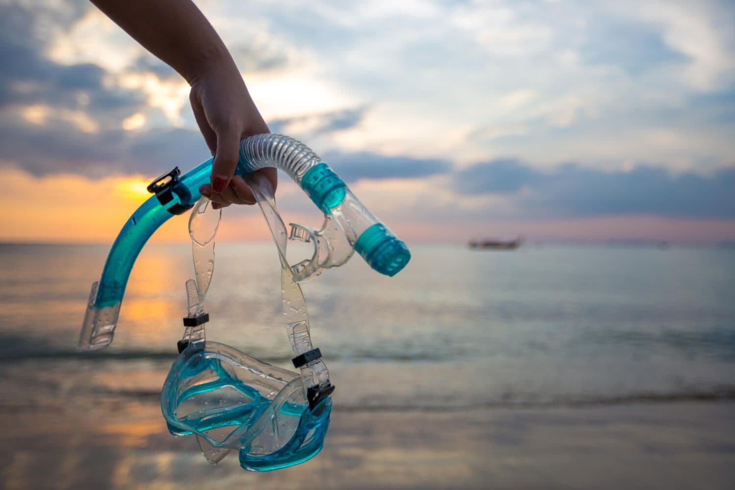 Snorkeling i nurkowanie w Bałtyku - co, gdzie i jak zacząć?